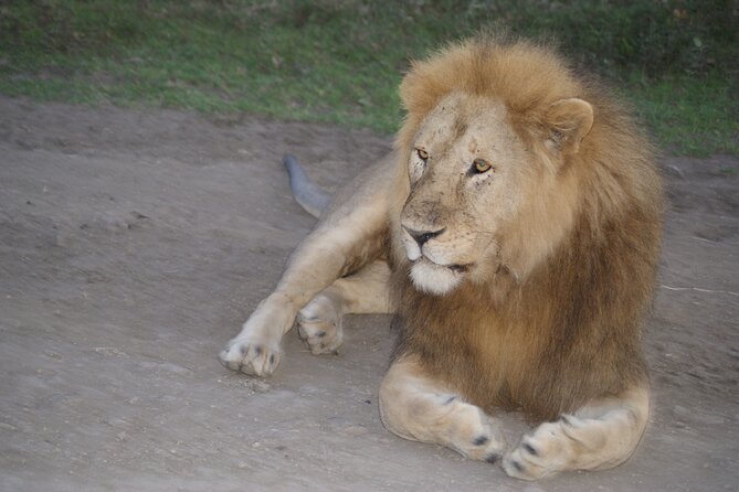 4 Days Group Camping Safari - Key points at a glance