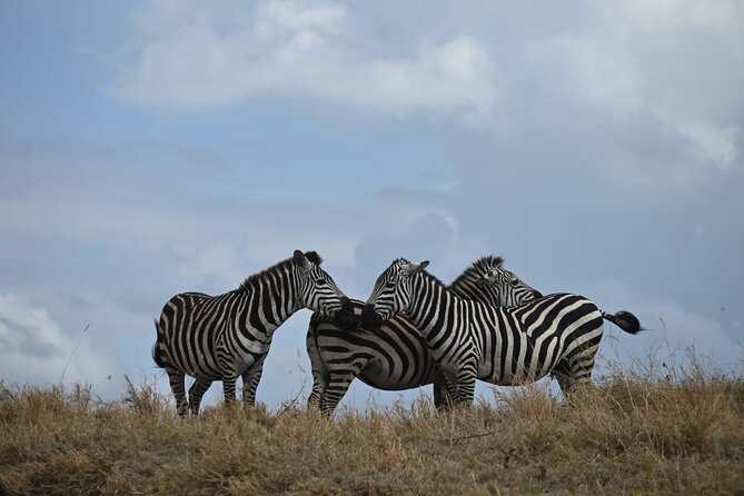 4 Days Group Camping Safari - Three parks, four days, and a lot of road time