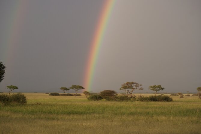 4 Days Group Camping Safari - Day 4: Descending into Ngorongoro Crater