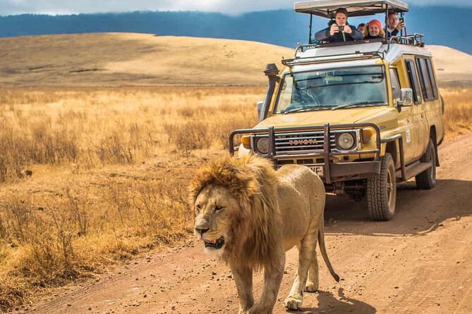 4 Days Group Joining Camping Tanzania safari - Three parks, four days, and a lot of ground