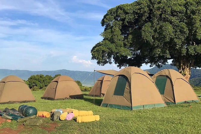 4 Days Join Group tour Tarangire Serengeti and Ngorongoro crater - Serengeti: your best chance at the Big Five