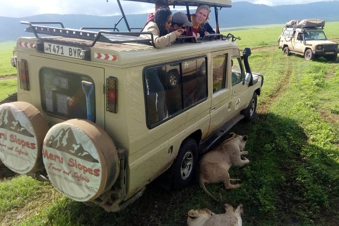 4 Days Join Group tour Tarangire Serengeti and Ngorongoro crater - Ngorongoro Crater: a concentrated final day