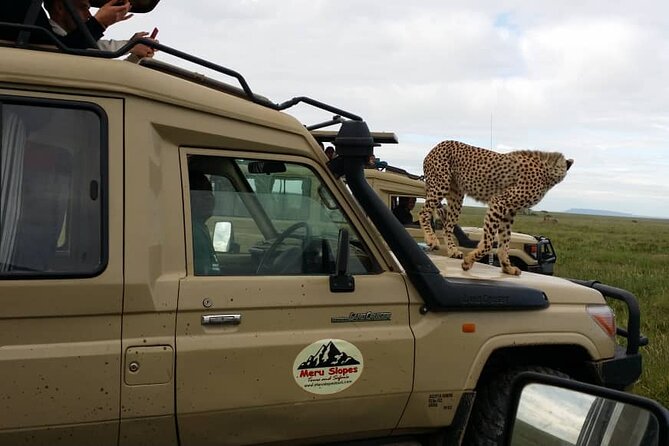 4 Days Join Group tour Tarangire Serengeti and Ngorongoro crater - Food, camping, and useful packing advice