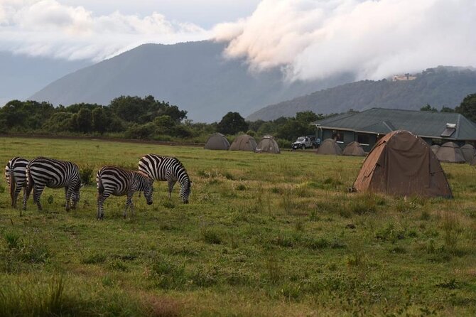 4 Days lodge &camping Tarangire,Serengeti, Ngorongoro Safari Tour - Day 3: A full Serengeti morning before Ngorongoro