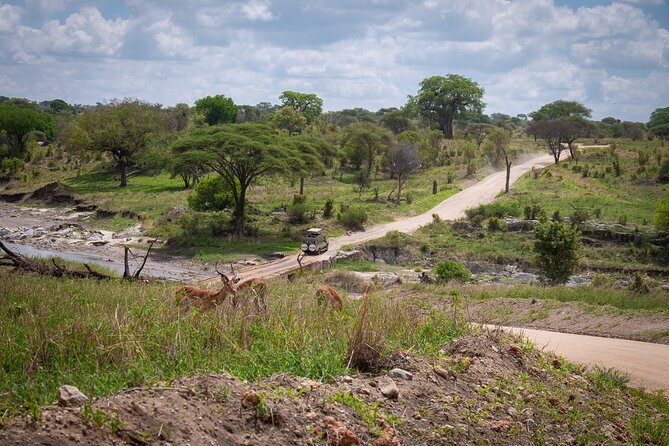 4 Days lodge &camping Tarangire,Serengeti, Ngorongoro Safari Tour - What the $1,110 price really covers