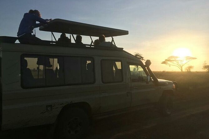 4 Days lodge &camping Tarangire,Serengeti, Ngorongoro Safari Tour - Camping, meals, and the practical side of comfort