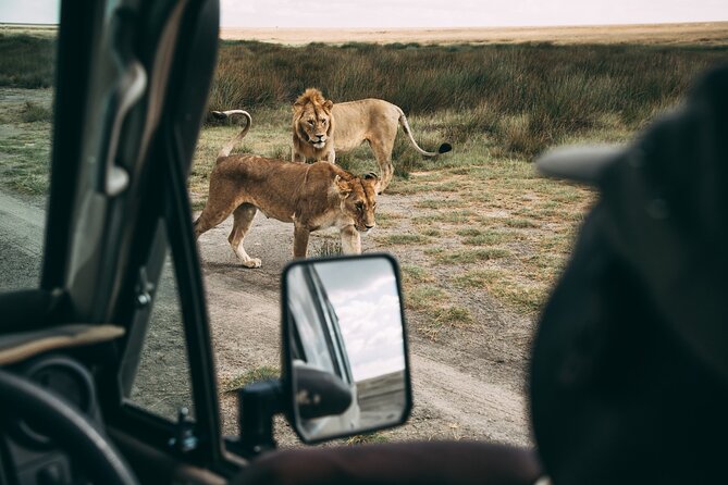 4 Days Lodge Safari in Lake Manyara, Serengeti & Ngorongoro Crater - Day one: Lake Manyara’s compact wildlife mix