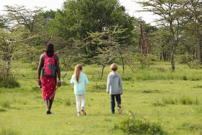 4 Days lodge safari Tarangire , Ngorongoro crater & Walking - Why this four-day route works