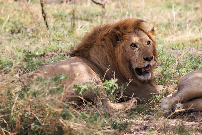 4 Days lodge safari Tarangire , Ngorongoro crater & Walking - What to pack for these four days