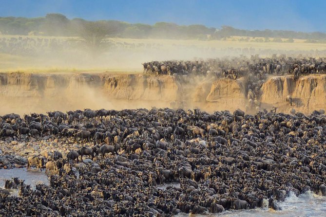 4 days safari in Tanzania - What $1,700 includes, and where the value lies