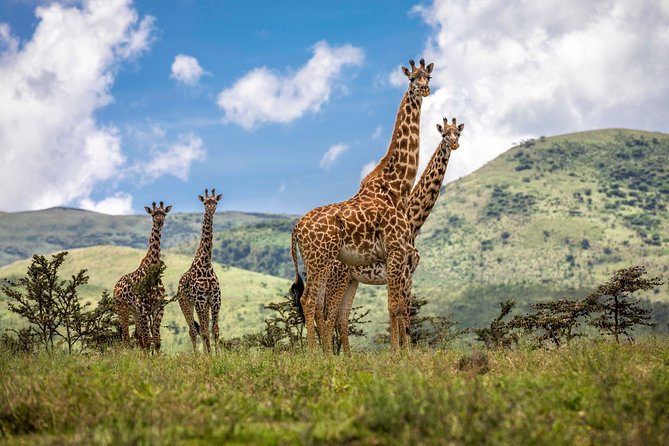 4 Days safari Tour Tanzania - Why this four-day route works