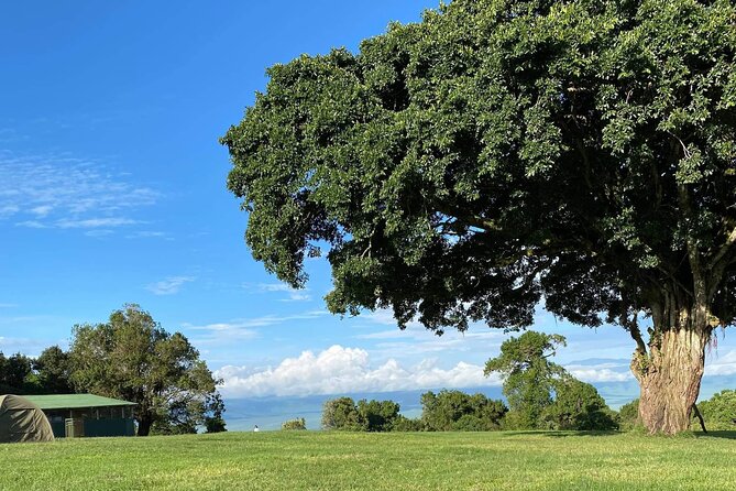 4 Days safari Tour Tanzania - Day four: inside Ngorongoro Crater