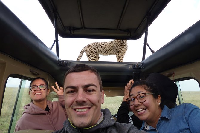 4 Days safari Tour Tanzania - What the private 4x4 adds
