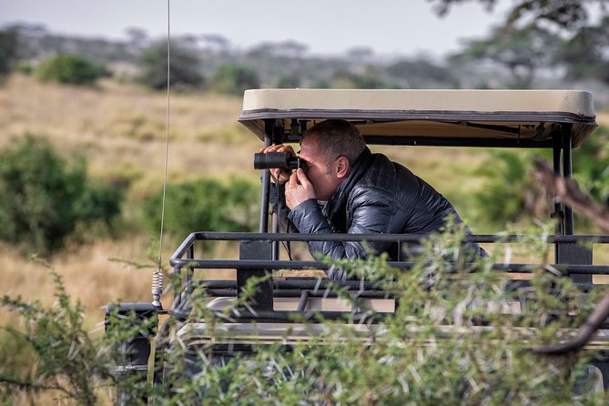 4 Days safari Tour Tanzania - Day one: Tarangire’s elephants and baobabs