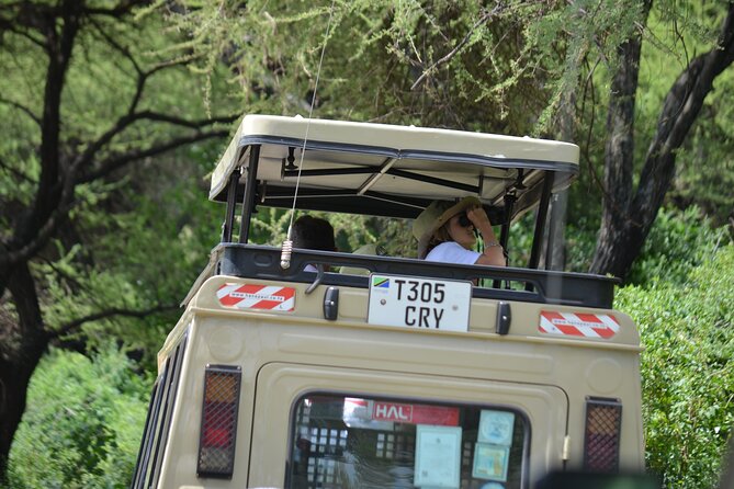 4 days serengeti & ngorongoro mid range tour - What this four-day Tanzania safari is really like