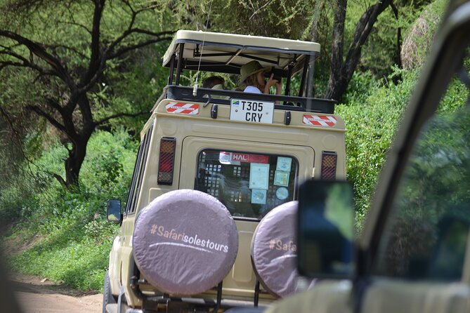4 days serengeti & ngorongoro mid range tour - Day 2: Ngorongoro views, Maasai culture, and the road to Serengeti
