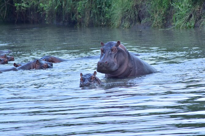 4 Days Tanzania Budget Group Join Safari- Serengeti & Ngorongoro - What the shared format means for you