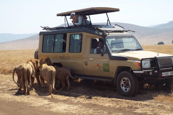 4 Days Tanzania Camping Safari - Why this four-day route works