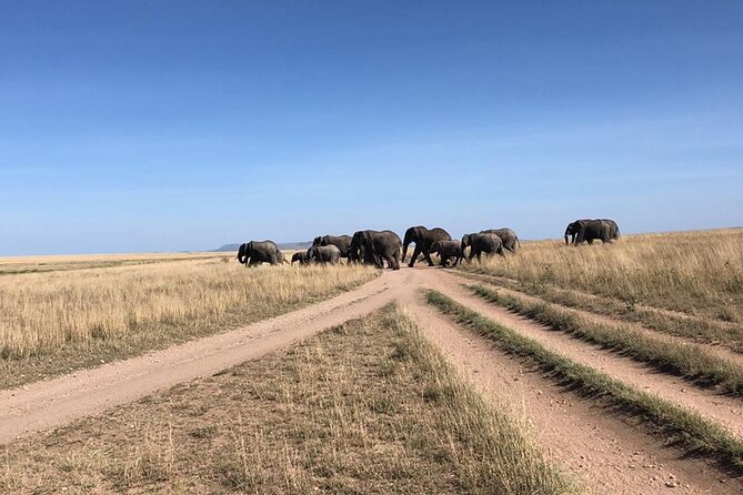 4 Days Tanzania Camping Safari - Food, camping, and what is included