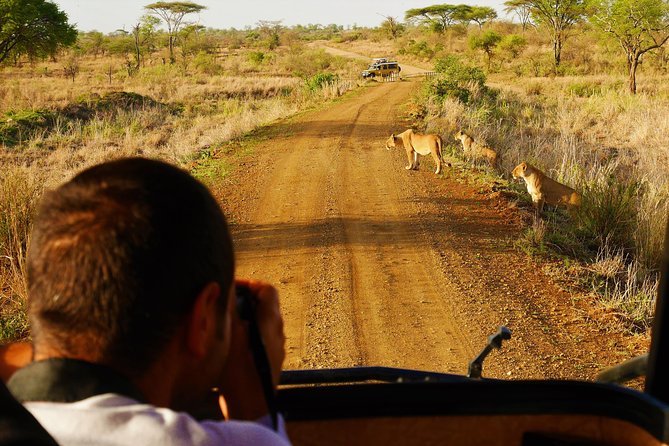 4 Days Tanzania Camping Safari - Day 1: Elephants and baobabs in Tarangire