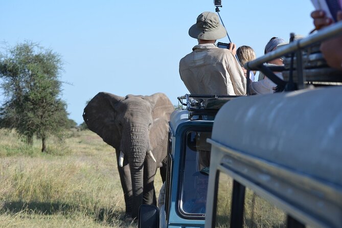 4 Days Tanzania Lodge Safari With Two Nights at Serengeti - Tarangire and the search for rare species