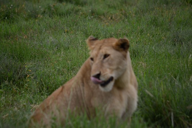 4 Days Tanzania Private safari to Serengeti ,ngorongoro crater and Tarangire - What the $3,200 price really covers