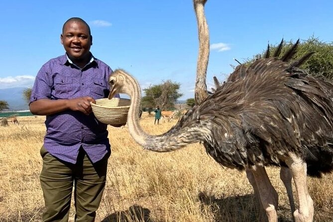4 Days Tanzania Safari Tarangire, Serengeti and Ngorongoro Crater - My call: good wildlife value, but confirm the details