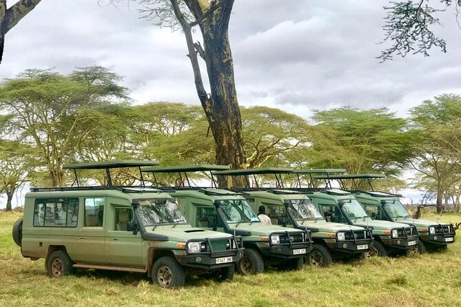 4 Days Tanzania Safari Tour - Meals, accommodation, and daily comfort