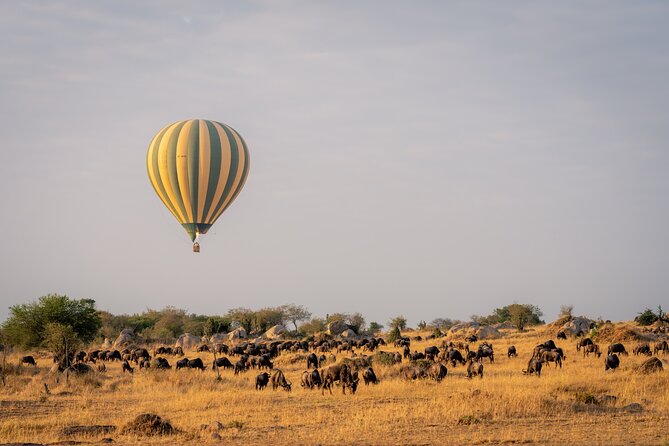 4 Days Tarangire, Serengeti and Ngorongoro Mid-Range Group Safari - What the $1,450 price really covers