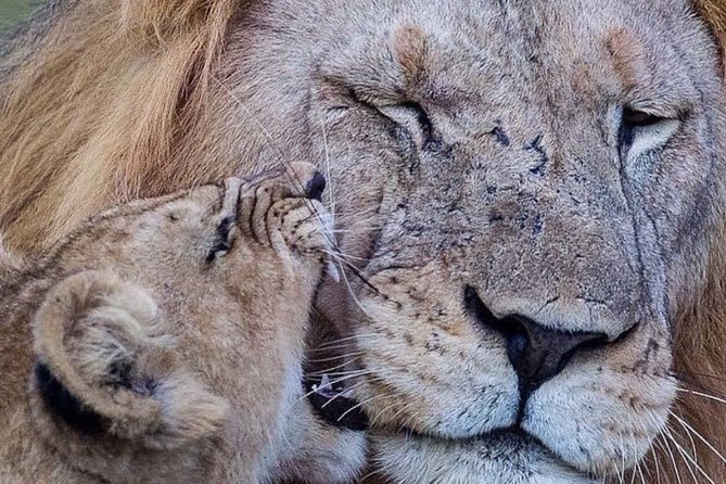 4 days Tarangire, Serengeti & Ngorongoro - Why this four-day route works