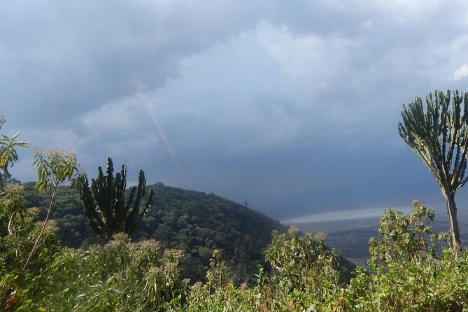 4 days Tarangire, Serengeti & Ngorongoro - Guides, drivers, and the small-group advantage