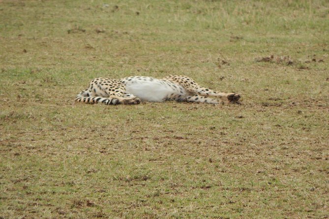 4 days Tarangire, Serengeti & Ngorongoro - Price, value, and the compromises
