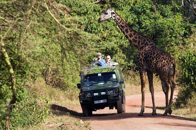 4 Days Tarangire Serengeti Ngorongoro Crater - Day four: down into Ngorongoro Crater