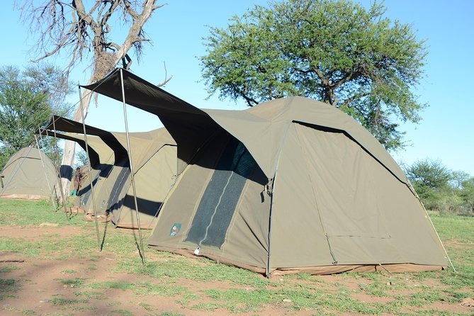 4 Days Tarangire ,Serengeti &Ngorongoro crater group Tour - Day 4: Down into Ngorongoro Crater