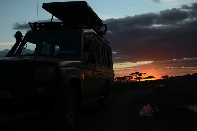 4 Days Tarangire ,Serengeti &Ngorongoro crater group Tour - Who will get the best value from this tour