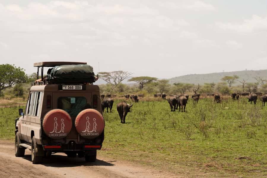 4 Days Tarangire, Serengeti, Ngorongoro Group Camping Safari - Key points before you reserve