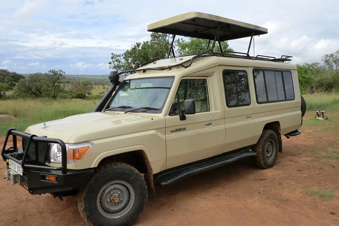 4 days Tarangire, Serengeti & Ngorongoro - Day 2: The long road to the Serengeti