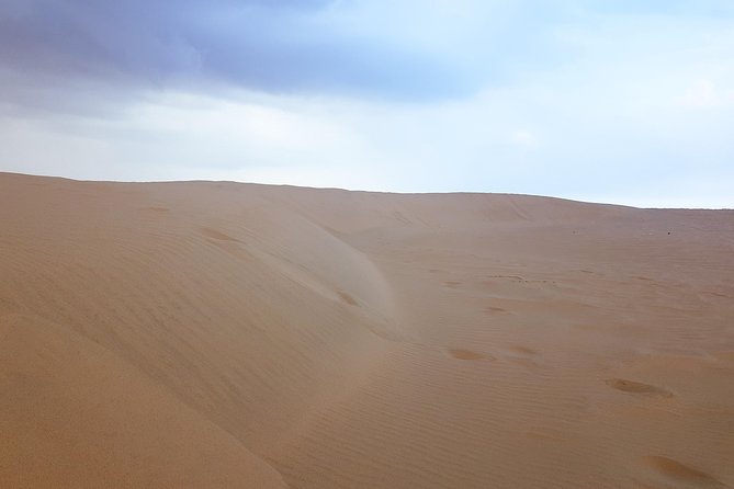 4 Days Tour In Doha | City Tour | North Tour | Desert Safari | West Tour - Who should book this Qatar tour?