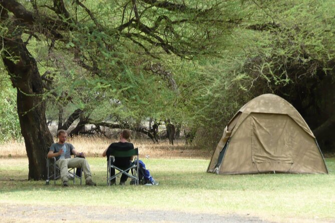 4 Days Wildlife Safari and Cultural Experience in Tanzania - Day one: elephant country in Tarangire National Park