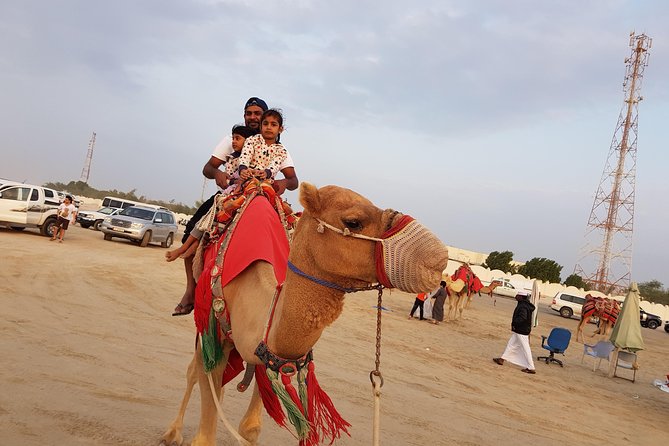 4 Hour Desert Safari, Camel Ride & Inland Sea Beach - Who will enjoy this desert tour