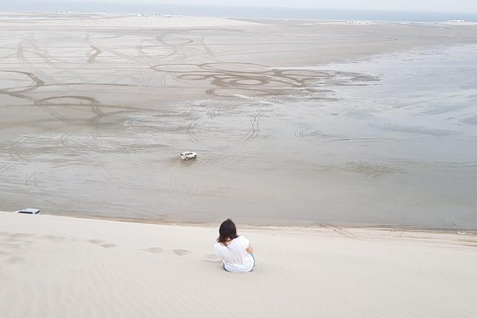 4 Hour Desert Safari, Camel Ride & Inland Sea Beach - Camel, falcon, and Arabic hospitality