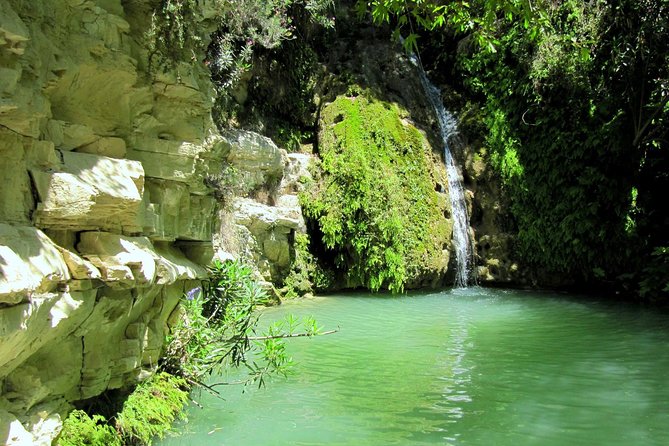 4 hour Quad & Buggy Safari Akamas(lara Bay) & Adonis Falls - Riding from Peyia into the Akamas area