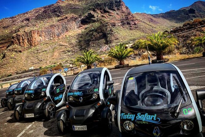 4 Hours Eco Safari Tour with Electric Car in Tenerife - Key points to know before you book