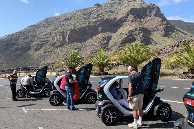 4 Hours Eco Safari Tour with Electric Car in Tenerife - Santiago del Teide, away from the coast