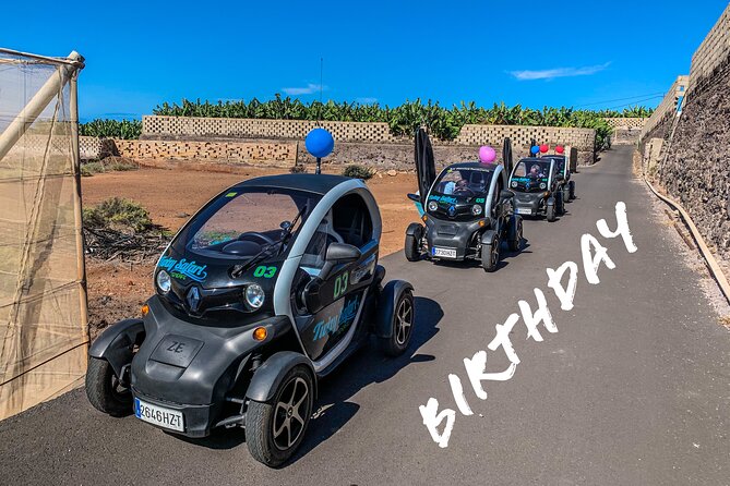 4 Hours Eco Safari Tour with Electric Car in Tenerife - Chio and Canarian food made by hand