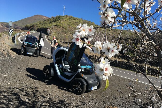 4 Hours Eco Safari Tour with Electric Car in Tenerife - Lava, mountain roads, and changing views