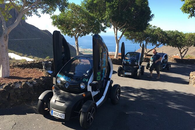 4 Hours Eco Safari Tour with Electric Car in Tenerife - The guide, group size, and pace