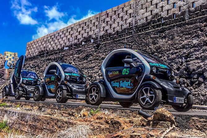 4 Hours Eco Safari Tour with Electric Car in Tenerife - Tamaimo and the local coffee ritual