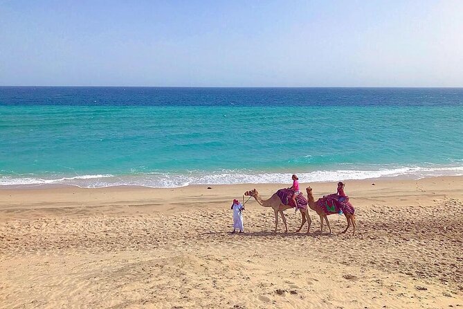 4hr Desert Safari: Sunset,Sunrise,Camel,Sand boarding,Inland Sea - Leaving Doha for Sealine