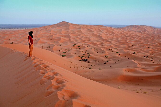 4x4 Arabian Adventure Desert Safari with BBQ Dinner - Sand Skiing, Camel Riding, and Quad Bikes